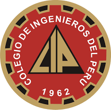 ERP CIP Junín